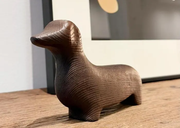 Amplitud, Diseño E Historia En El Casco Viejo Apartamento